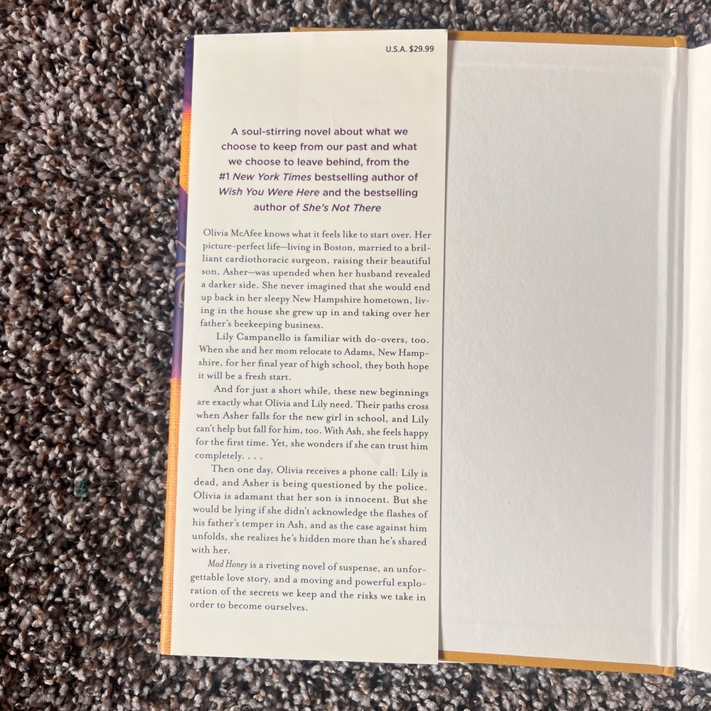 Mad Honey by Jodi Picoult & Jennifer Finney Boylan - Hardcover - Picture 3 of 4